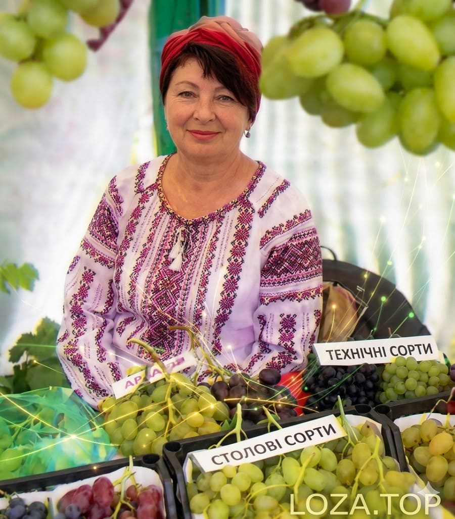 Пані Мирослава, прикарпатська виноградарка: дбайливе вирощування лози в горах — LOZA.TOP